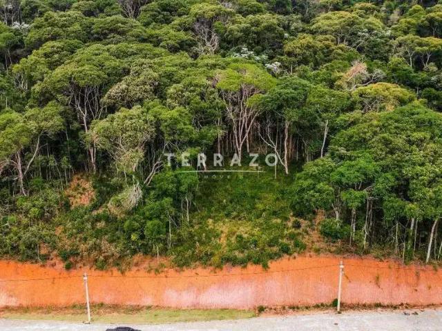 Terreno em Condomínio para Venda em Teresópolis/RJ Prata