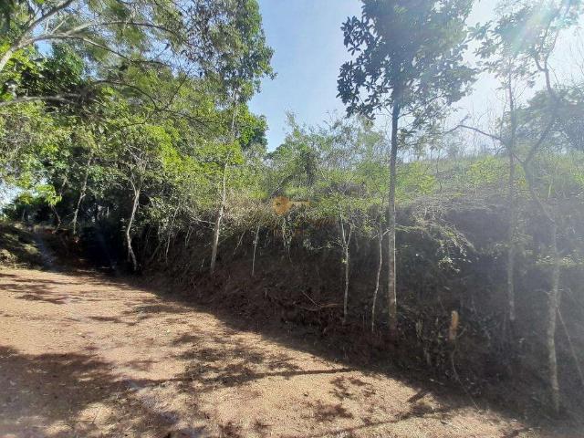 Terreno em Condomínio para Venda em Teresópolis/RJ Prata