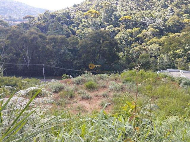 Terreno em Condomínio para Venda em Teresópolis/RJ Prata