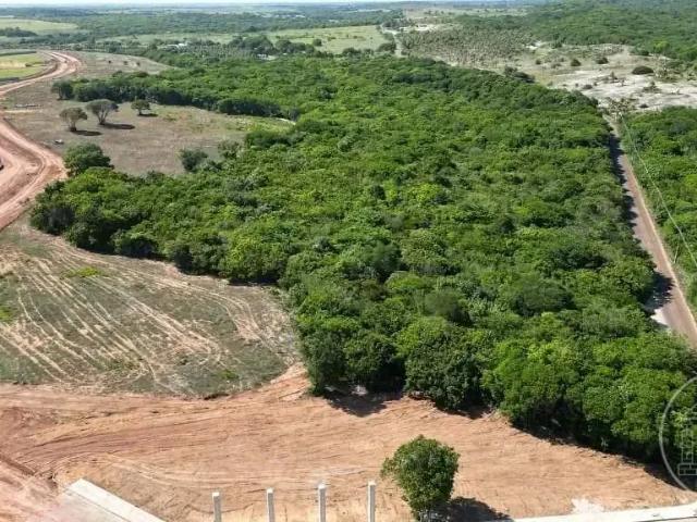 Terreno em Condomínio para Venda em Tibau do Sul/RN Praia de Tibau