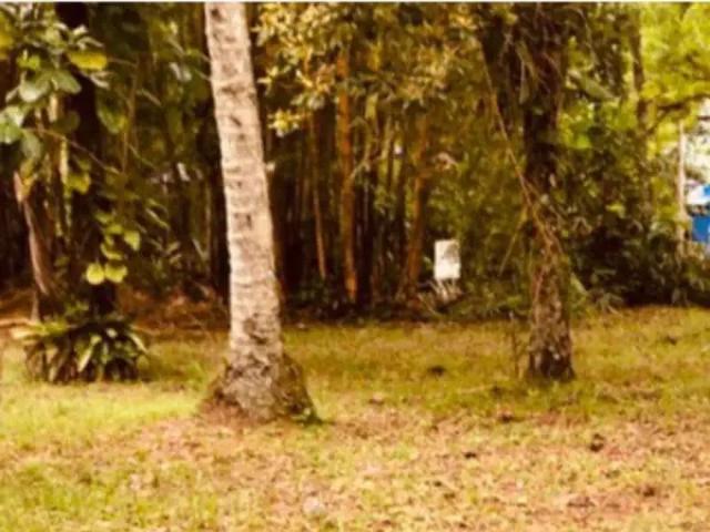 Terreno em Condomínio para Venda em Ubatuba/SP Santa Rita