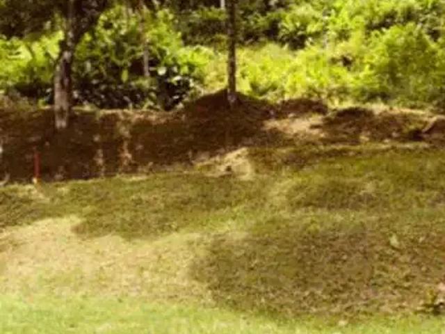 Terreno em Condomínio para Venda em Ubatuba/SP Santa Rita