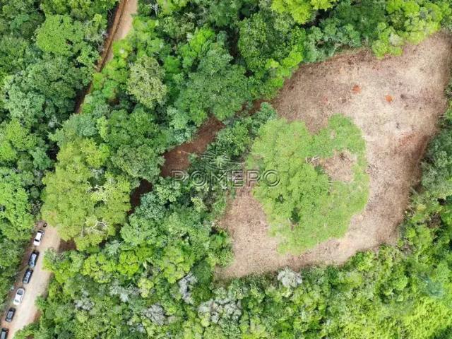 Terreno em Condomínio para Venda em Ubatuba/SP Praia do Pulso