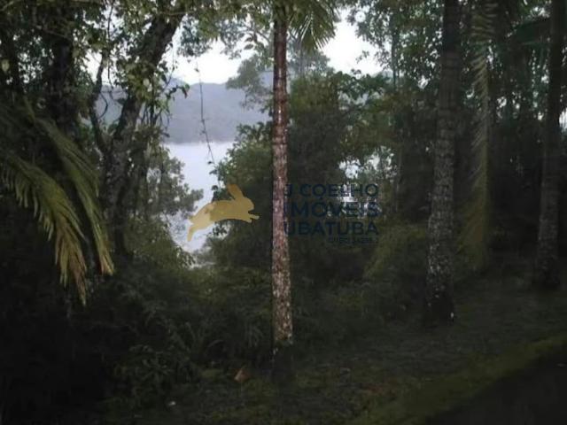 Terreno em Condomínio para Venda em Ubatuba/SP Praia Vermelha