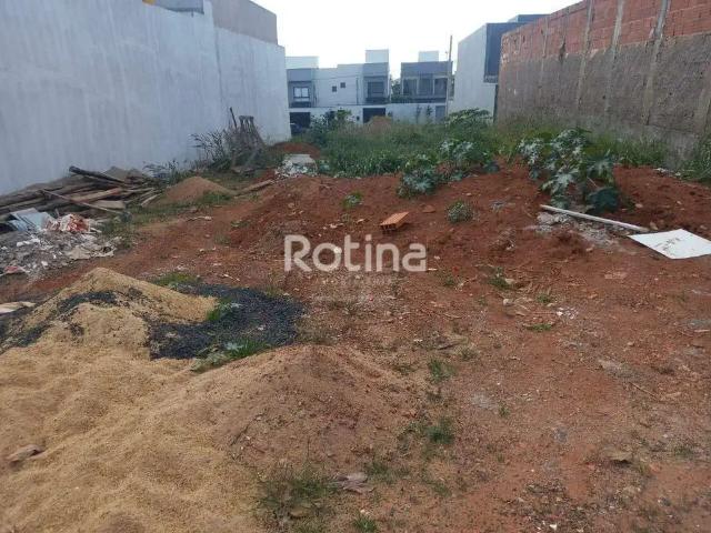 Terreno em Condomínio para Venda em Uberlândia/MG Aclimação