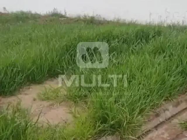 Terreno em Condomínio para Venda em Uberlândia/MG Bosque dos Buritis 1 Quartos