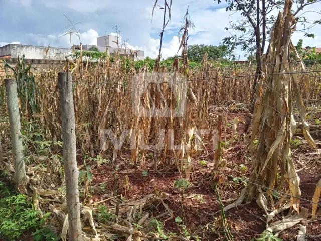 Terreno em Condomínio para Venda em Uberlândia/MG Dona Zulmira 1 Quartos