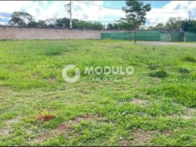 Terreno em Condomínio para Venda em Uberlândia/MG Laranjeiras