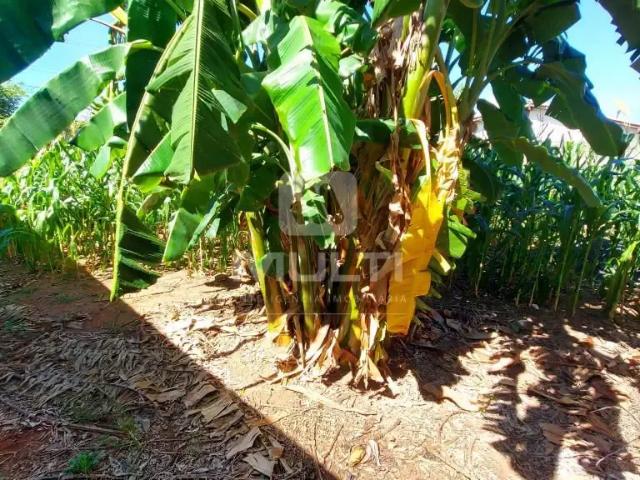 Terreno em Condomínio para Venda em Uberlândia/MG Marta Helena 1 Quartos