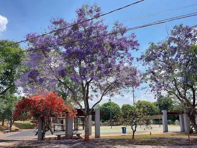 Terreno em Condomínio para Venda em Uberlândia/MG Royal Park