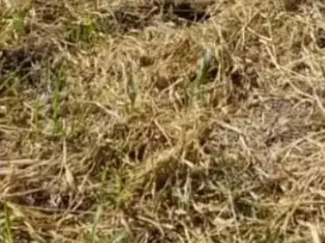 Terreno em Condomínio para Venda em Várzea Paulista/SP Jardim Promeca