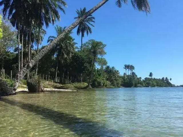 Terreno em Condomínio para Venda em Vera Cruz/BA Catu