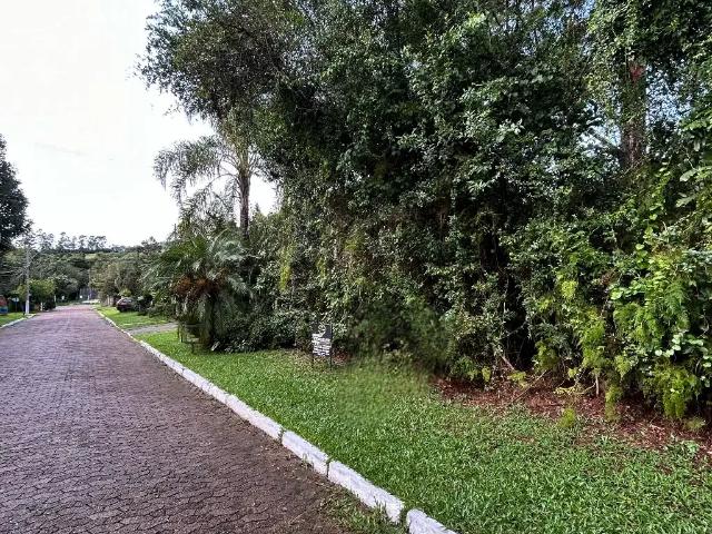 Terreno em Condomínio para Venda em Viamão/RS Cantegril