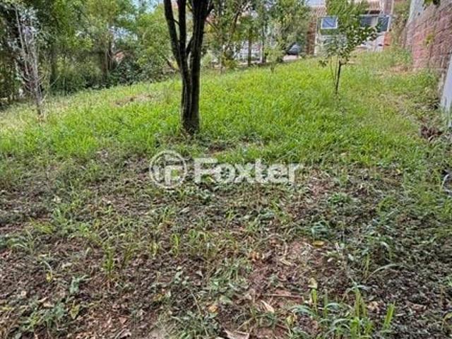 Terreno em Condomínio para Venda em Viamão/RS São Lucas