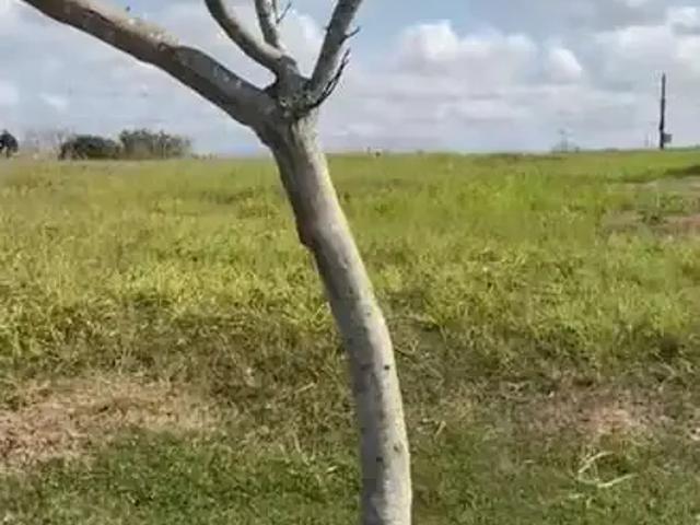 Terreno em Condomínio para Venda em Vila Velha/ES Santa Paula II