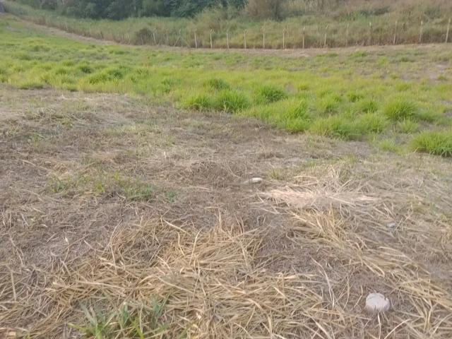 Terreno em Condomínio para Venda em Volta Redonda/RJ Casa de Pedra