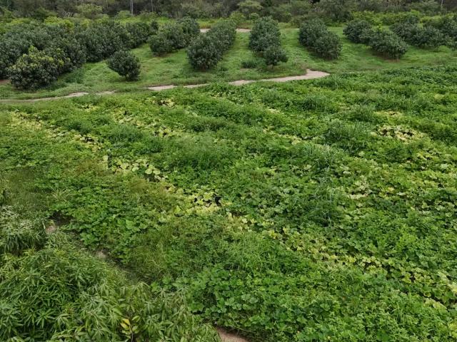 Terreno em Condomínio para Venda em Açu/RN Centro