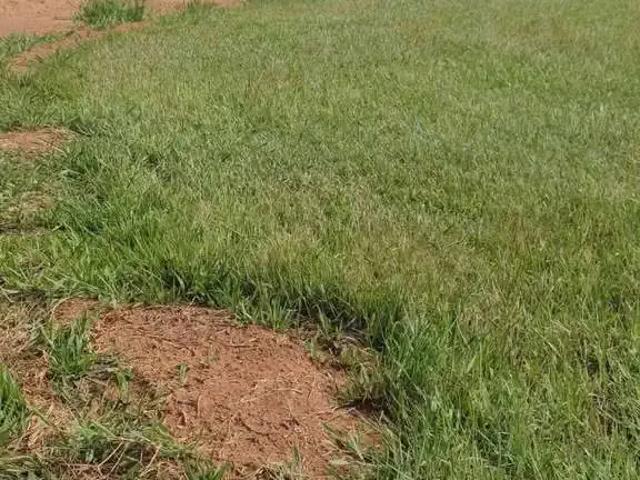 Terreno em Condomínio para Venda em Águas de Santa Bárbara/SP Thermas de Santa Barbara