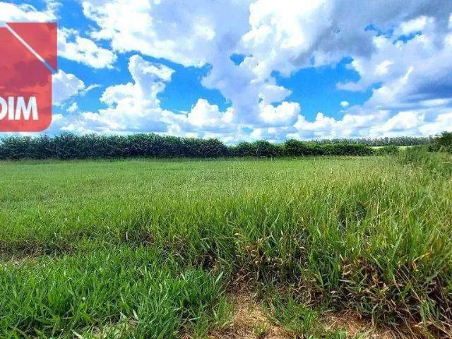 Terreno em Condomínio para Venda em Águas de Santa Bárbara/SP Thermas de Santa Barbara