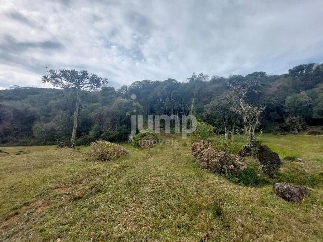 Terreno em Condomínio para Venda em Águas Mornas/SC Centro