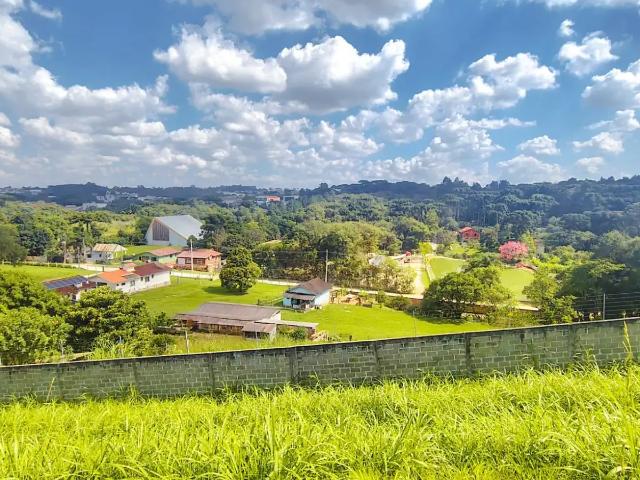 Terreno em Condomínio para Venda em Almirante Tamandaré/PR Colônia Antônio Prado