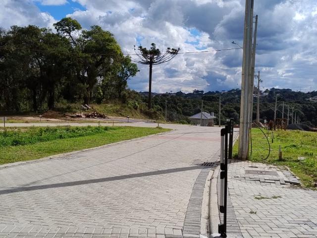 Terreno em Condomínio para Venda em Almirante Tamandaré/PR Colônia Antônio Prado