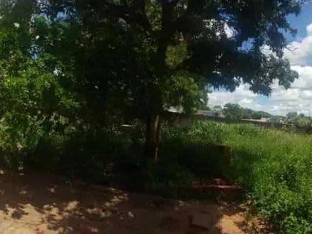 Terreno em Condomínio para Venda em Álvares Machado/SP Gramado Park Residencial