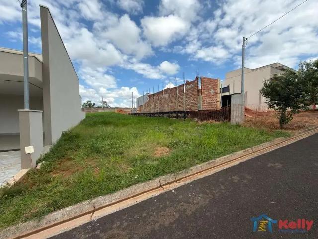 Terreno em Condomínio para Venda em Álvares Machado/SP Residencial Portinari II