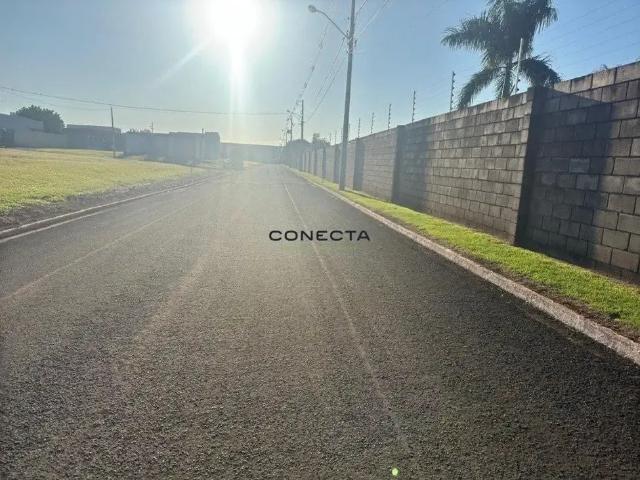 Terreno em Condomínio para Venda em Alvorada do Sul/PR Zona Rural