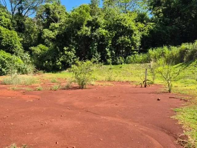 Terreno em Condomínio para Venda em Alvorada do Sul/PR Jardim Vila Alvorada