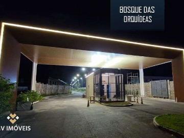 Ananindeua, Pará - Piscina