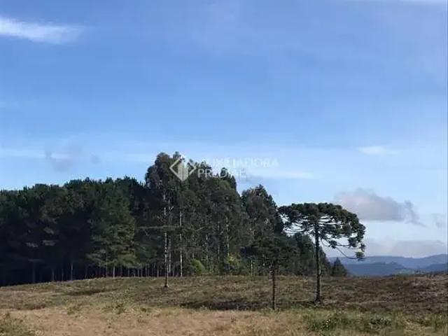 Terreno em Condomínio para Venda em Angelina/SC Barra Clara