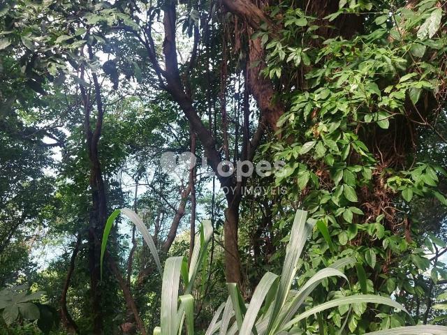 Terreno em Condomínio para Venda em Angra dos Reis/RJ Piraquara Cunhambebe