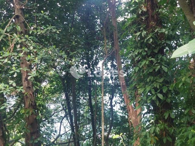 Terreno em Condomínio para Venda em Angra dos Reis/RJ Piraquara Cunhambebe