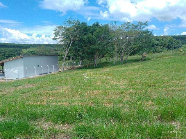 Terreno em Condomínio para Venda em Anhembi/SP Centro
