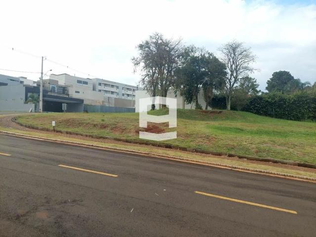 Terreno em Condomínio para Venda em Apucarana/PR Vila Martins