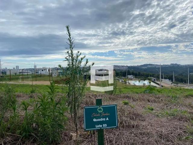 Terreno em Condomínio para Venda em Apucarana/PR Vila Nossa Senhora da Conceição