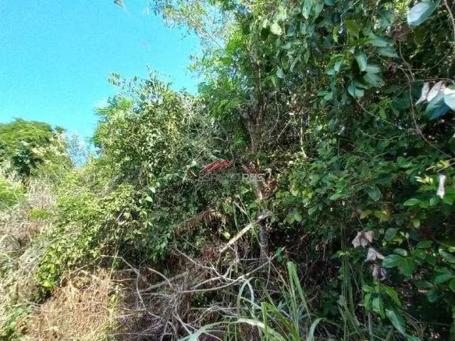 Terreno em Condomínio para Venda em Armação dos Búzios/RJ Caravelas