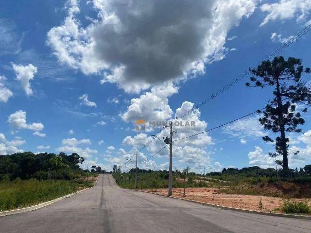 Terreno em Condomínio para Venda em Araucária/PR Costeira