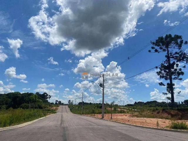 Terreno em Condomínio para Venda em Araucária/PR Costeira