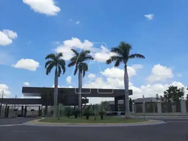 Terreno em Condomínio para Venda em Araçatuba/SP Concórdia IV