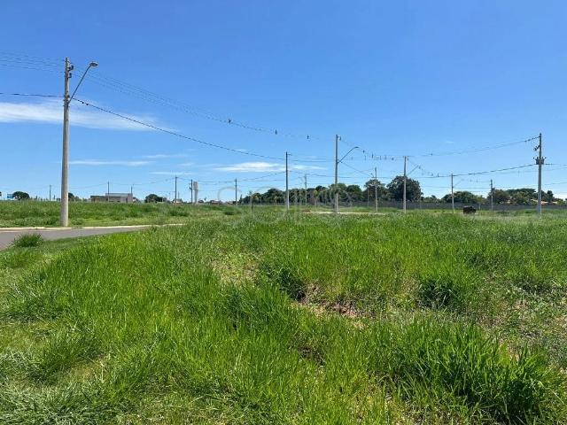 Terreno em Condomínio para Venda em Araraquara/SP Parque Residencial Damha