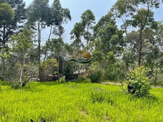 Terreno em Condomínio para Venda em Atibaia/SP Loteamento Colinas Verdes