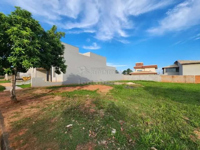 Terreno em Condomínio para Venda em Bady Bassitt/SP Condomínio Jardim Botânico