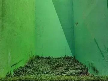 Terreno em Condomínio para Venda em Barueri/SP Alphaville