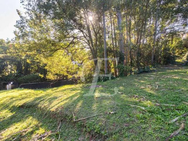 Terreno em Condomínio para Venda em Barueri/SP Alphaville