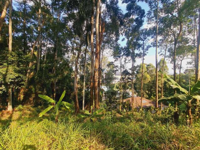 Terreno em Condomínio para Venda em Barueri/SP Tamboré