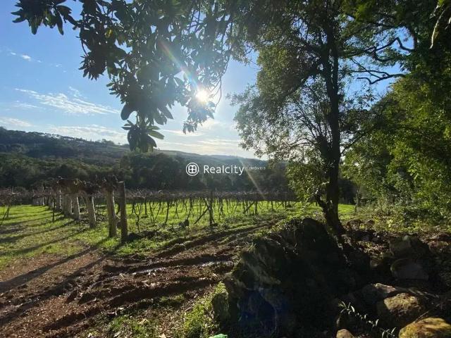 Terreno em Condomínio para Venda em Bento Gonçalves/RS Vale dos Vinhedos Distrito