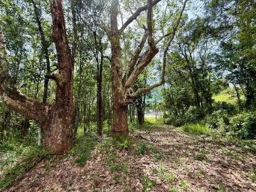 Terreno em Condomínio para Venda em Bento Gonçalves/RS Santo Antão
