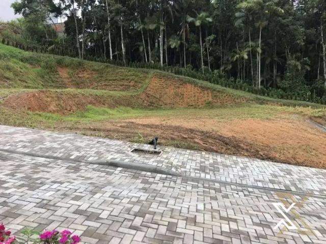 Terreno em Condomínio para Venda em Blumenau/SC Água Verde